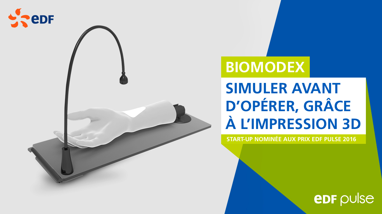 EDF_Pulse_3D_BIOMODEX