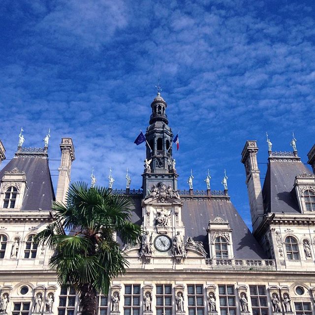 🌴 Indian summer 🌴