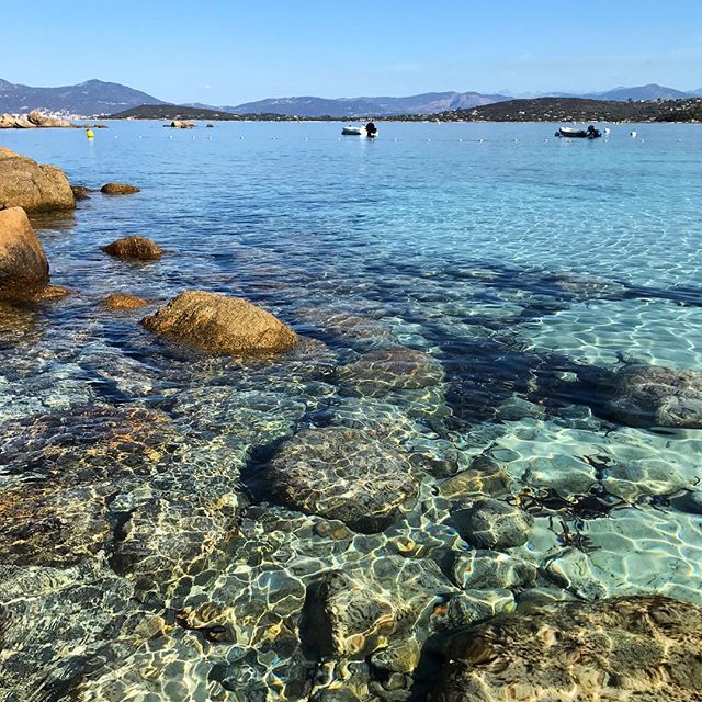 With a blue view 💙