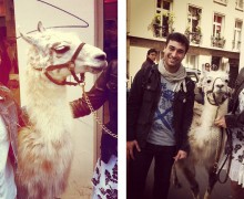 Jimmy-Fairly-Lama-in-Paris-4
