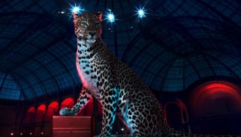 Cartier Grand Palais 2