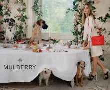 Cara-Delevingne-pour-Mulberry_exact780x585_l