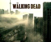 walking_dead_wallpaper_by_stgelaisalex-d4dt5fv