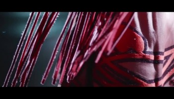 1623425_10152255876981013_10152255844206013_42706_495_b