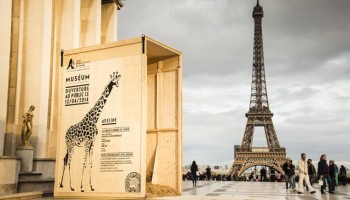 Zoo-Vincennes-UbiBene-AFevrier027