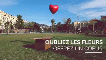 Mieux que des fleurs