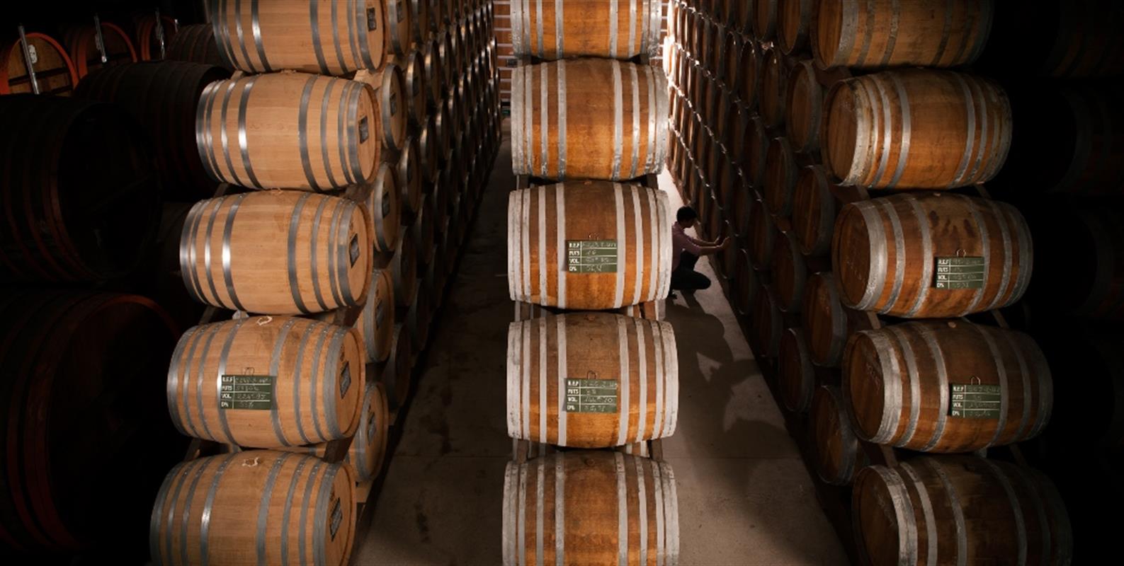 photo-635357396392803678-1