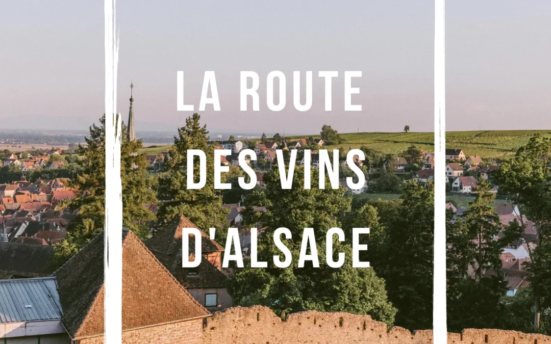 De Colmar à Sélestat, itinéraire sur la Route des Vins d’Alsace