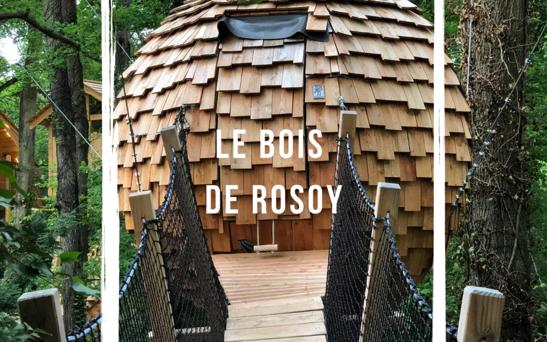 Escapade insolite au Bois de Rosoy