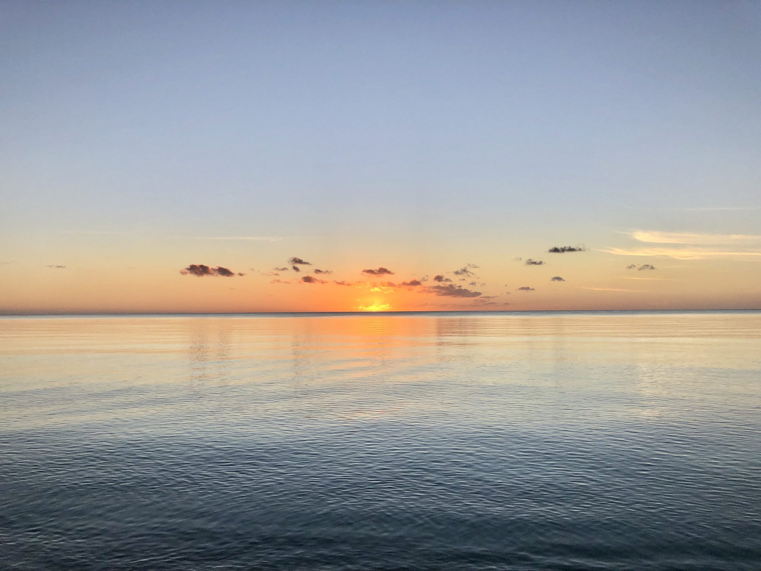 IMG_7901