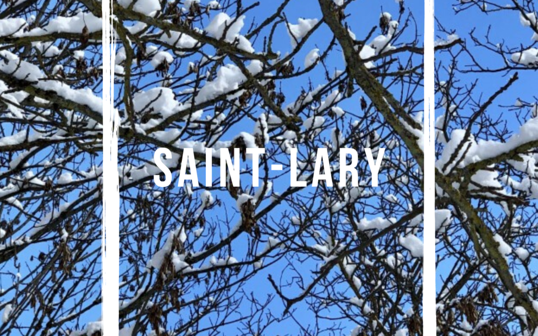 5 bonnes raisons d’aller skier à Saint-Lary