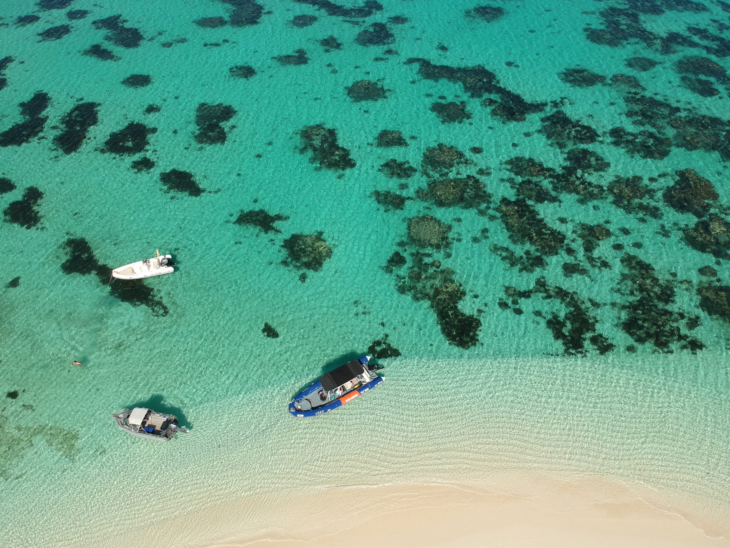 DCIM/100MEDIA/DJI_0441.JPG