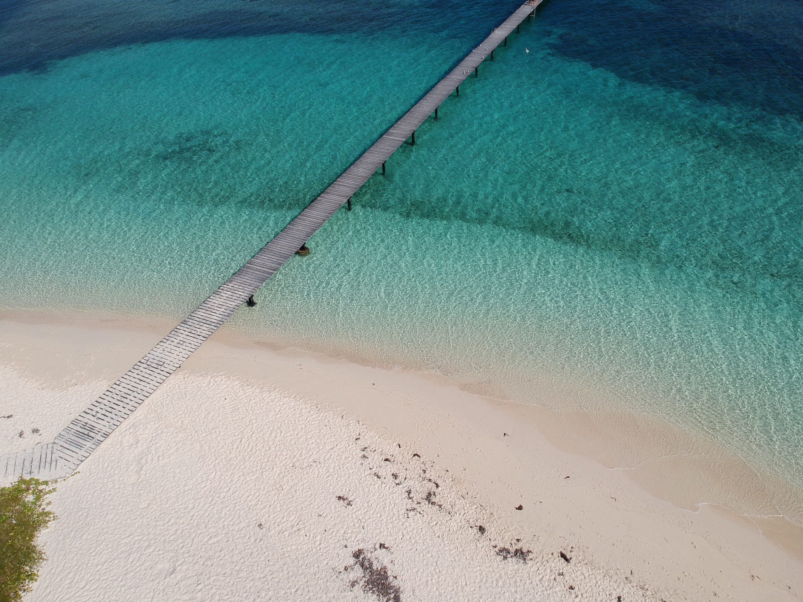 DCIM/100MEDIA/DJI_0467.JPG