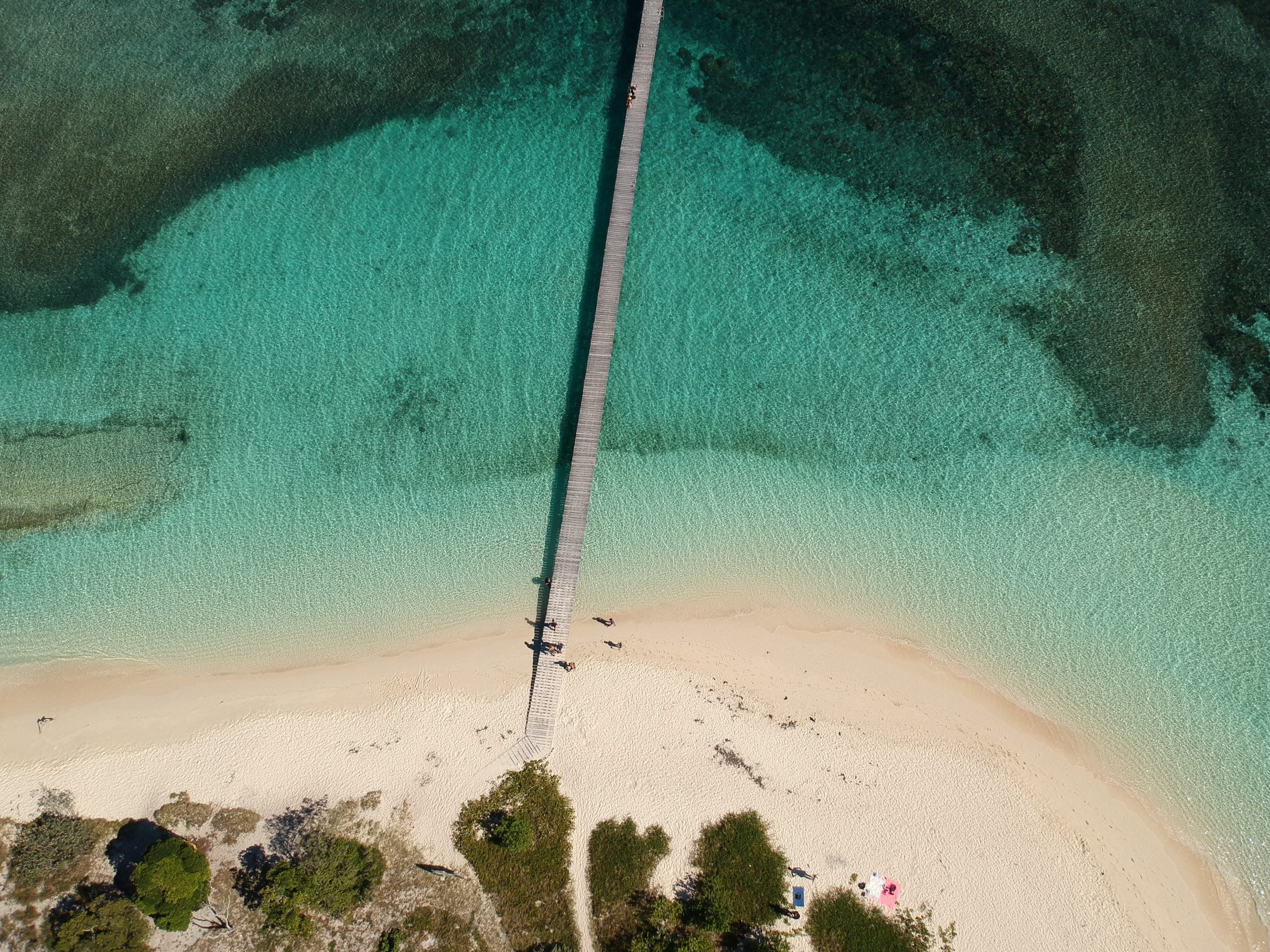 DCIM/100MEDIA/DJI_0482.JPG