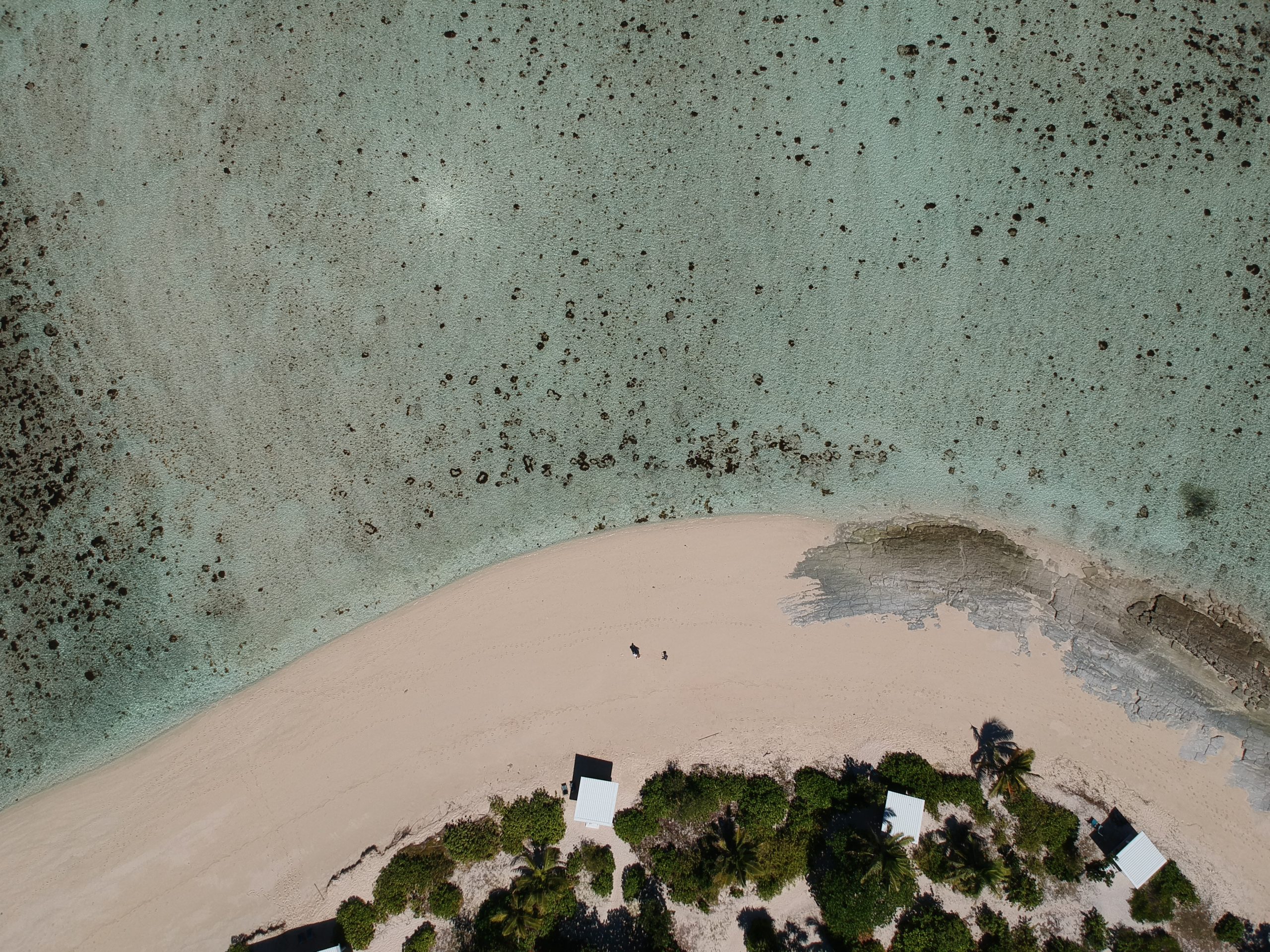 DCIM/100MEDIA/DJI_0645.JPG