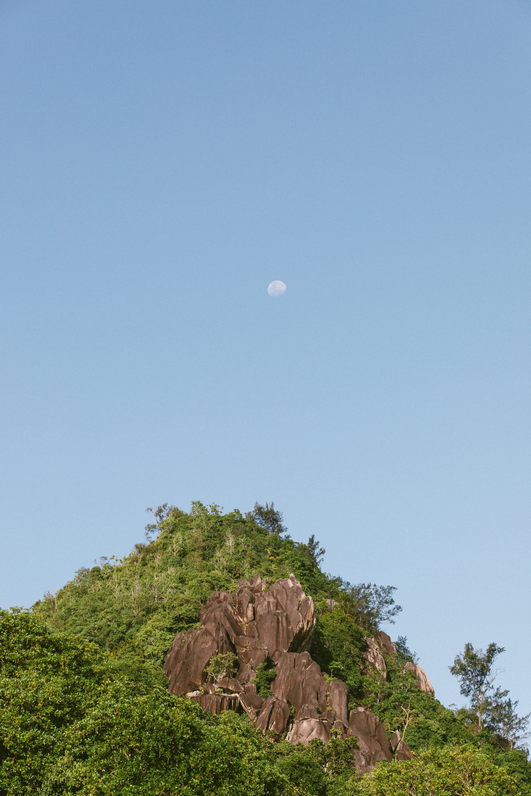 21062021-502A5201