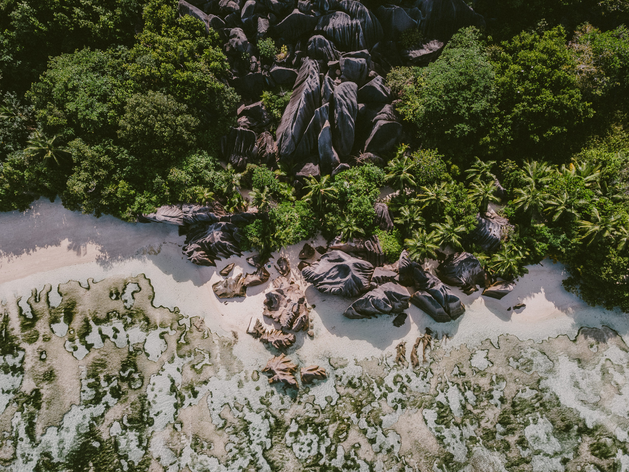 23062021-DJI_0152