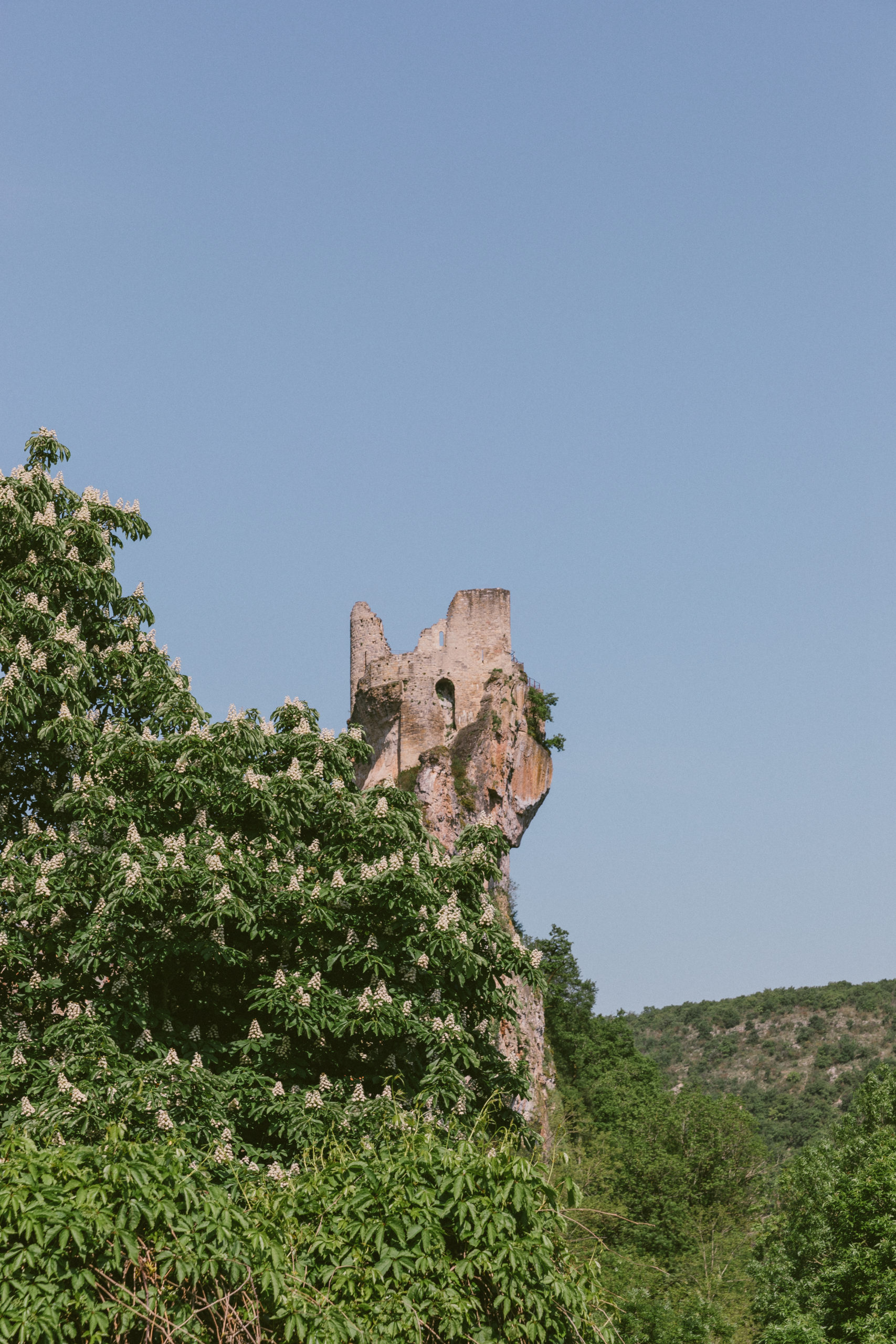 07052022-502A0296