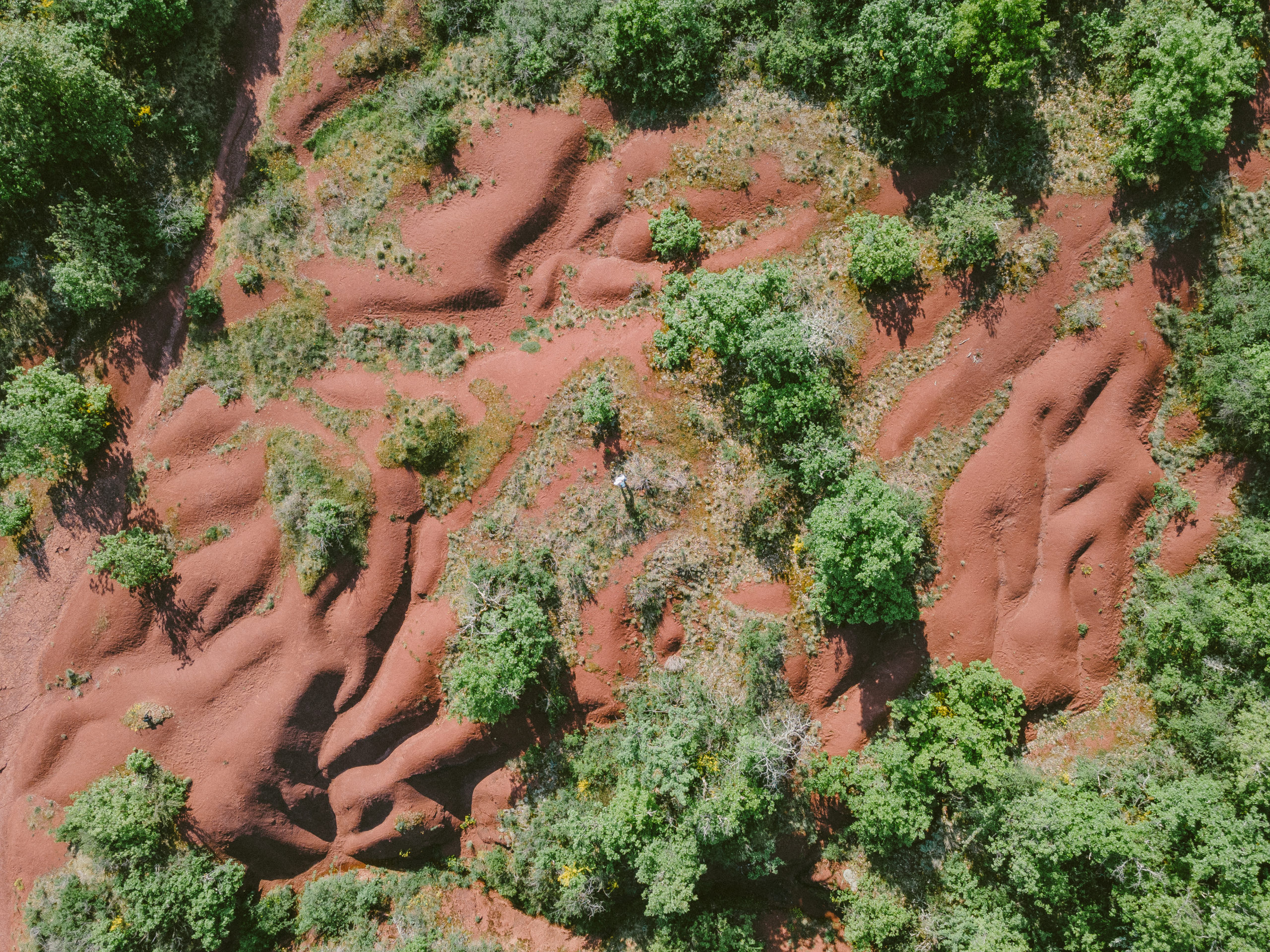 07052022-DJI_0334