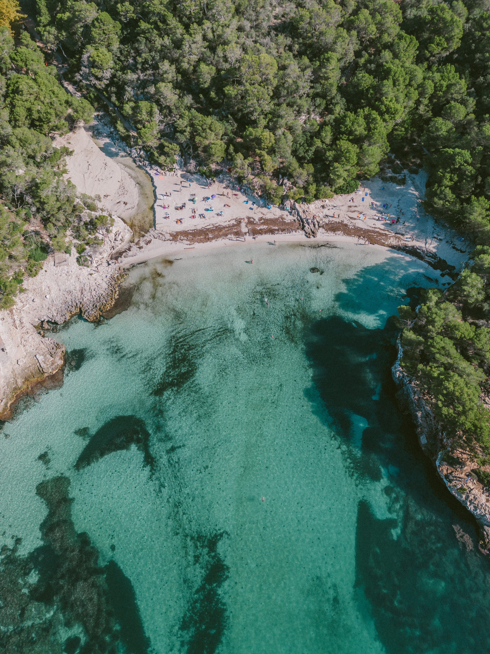 10102022-DJI_0448