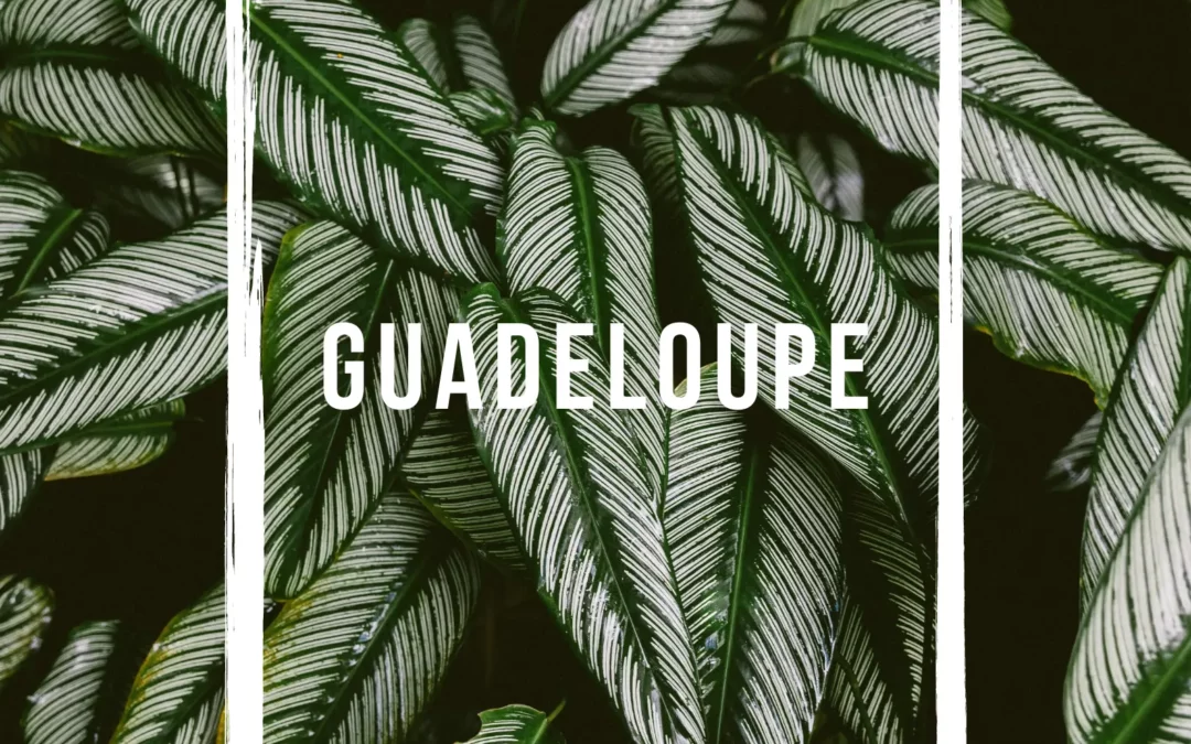 Les 10 incontournables à voir et à faire sur l’île de la Guadeloupe !