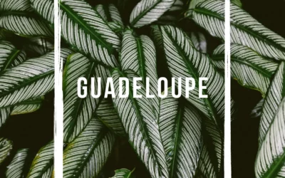 10 incontournables à découvrir en Guadeloupe